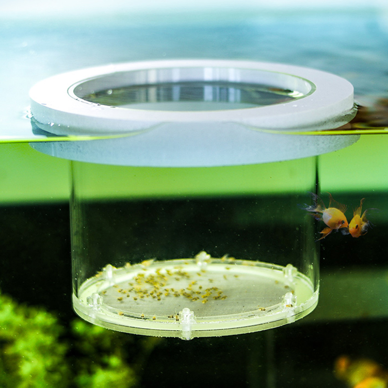 Suspended Fish Tank Breeding I - Lab Incubator 评论和价格