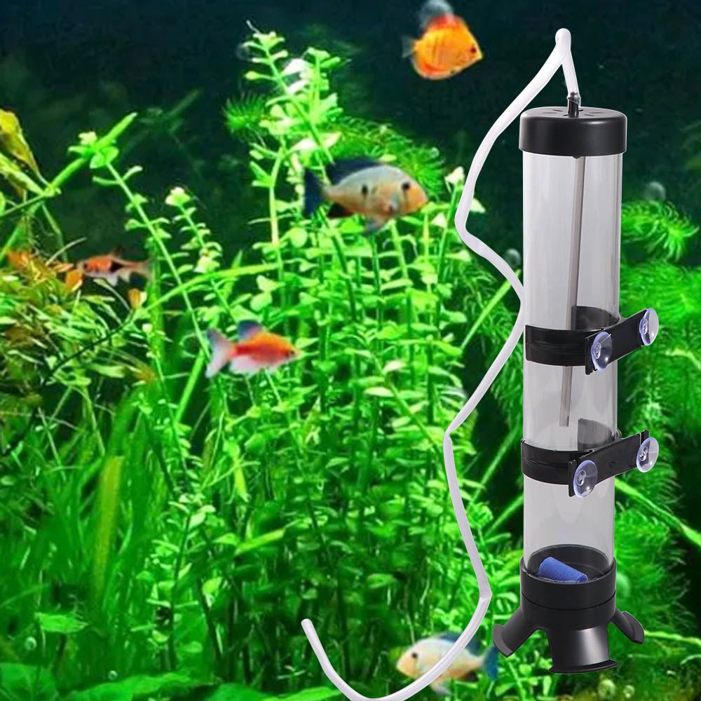 Plastic Artemia Eggs Incubator - Lab Incubator 评论和价格