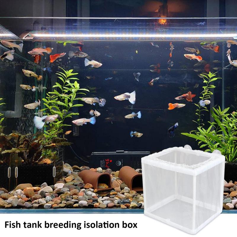 Fish Breeder Box with Suction, - Lab Incubator 评论和价格
