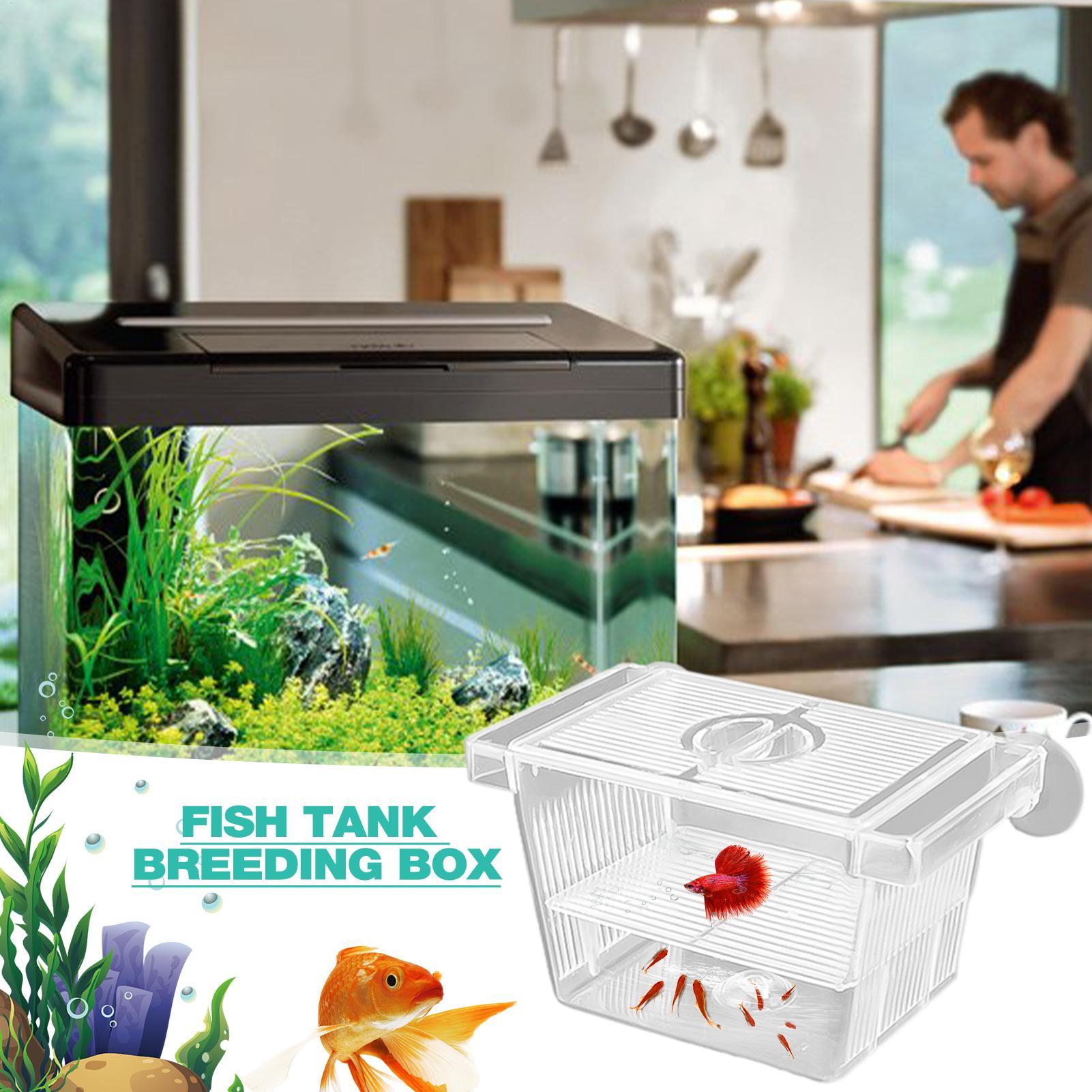 Aquarium Hatchery Acrylic Isol - Lab Incubator 评论和价格
