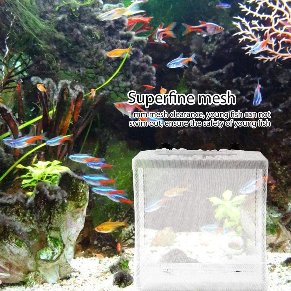 Hatchery Isolation Box for Aqu - Lab Incubator 评论和价格