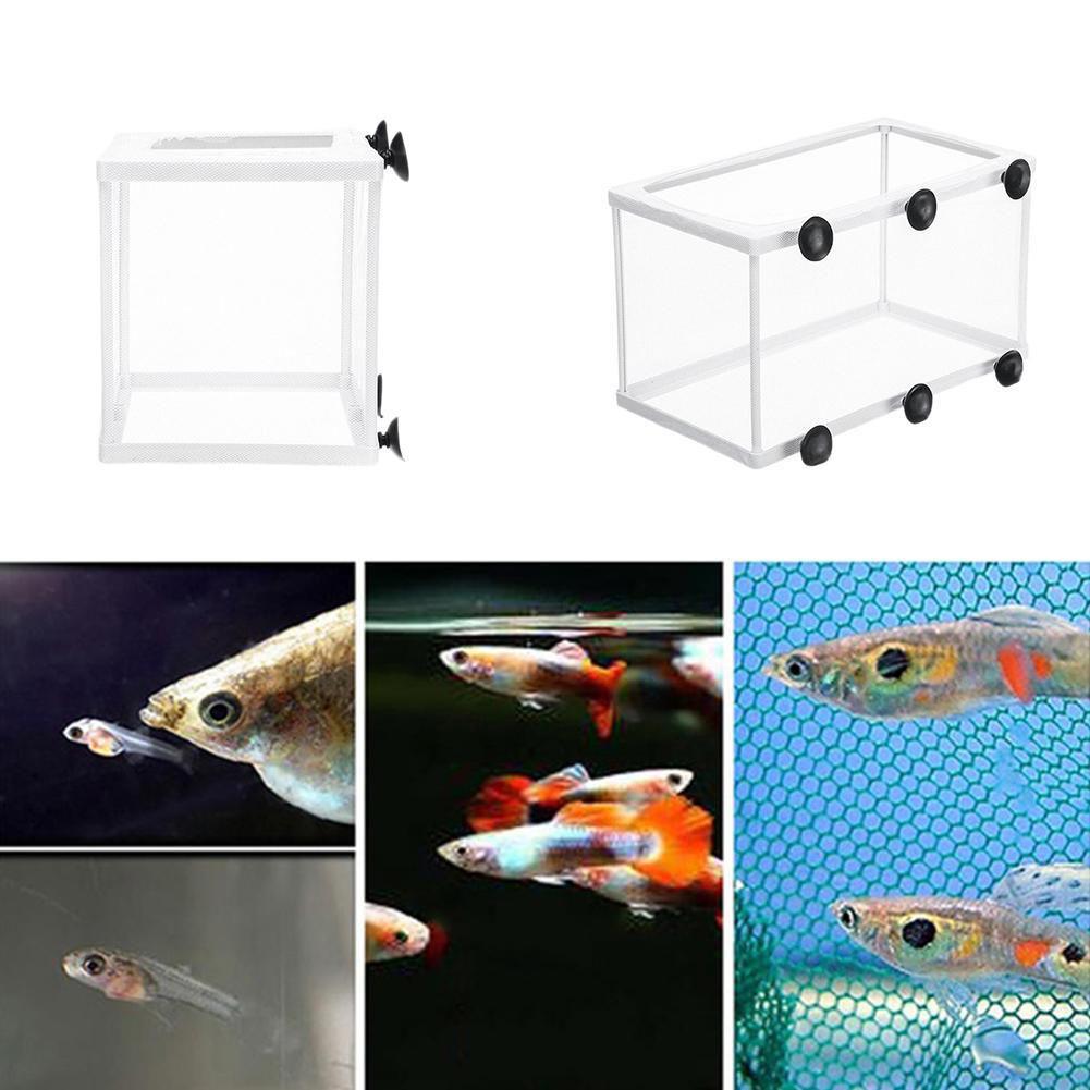 Hatchery Isolation Box for Aqu - Lab Incubator 评论和价格